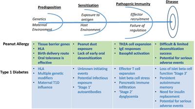 Approaches to Establishing Tolerance in Immune Mediated Diseases